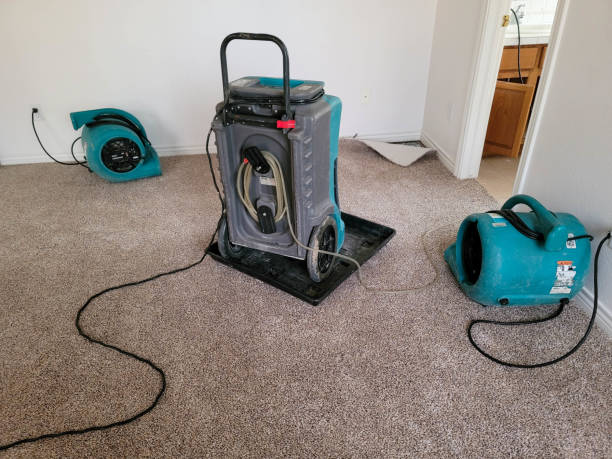Best Local water damage restoration  in Oak Hill, TN