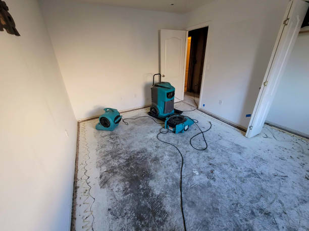 Best Flood restoration services  in Oak Hill, TN