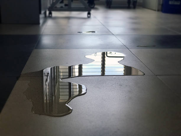 Best Water damage restoration near me  in Oak Hill, TN