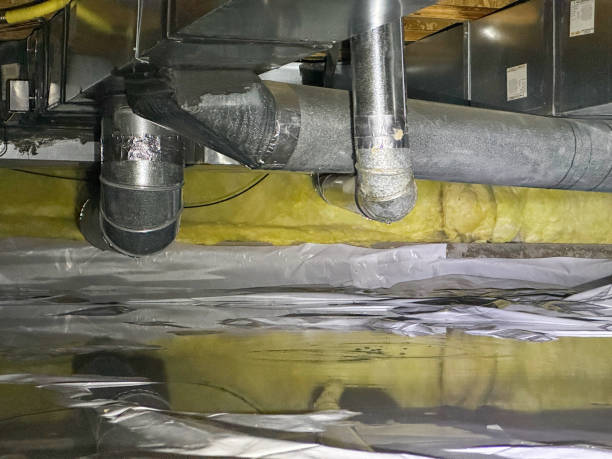 Best Water damage restoration company  in Oak Hill, TN