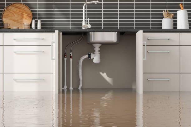 Best Mold removal after water damage  in Oak Hill, TN