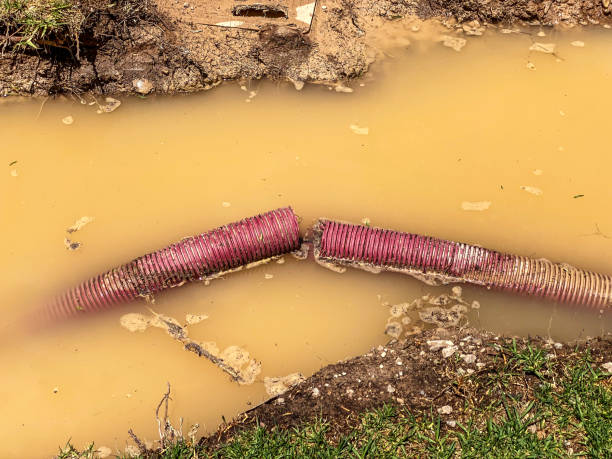 Best Commercial water damage restoration  in Oak Hill, TN